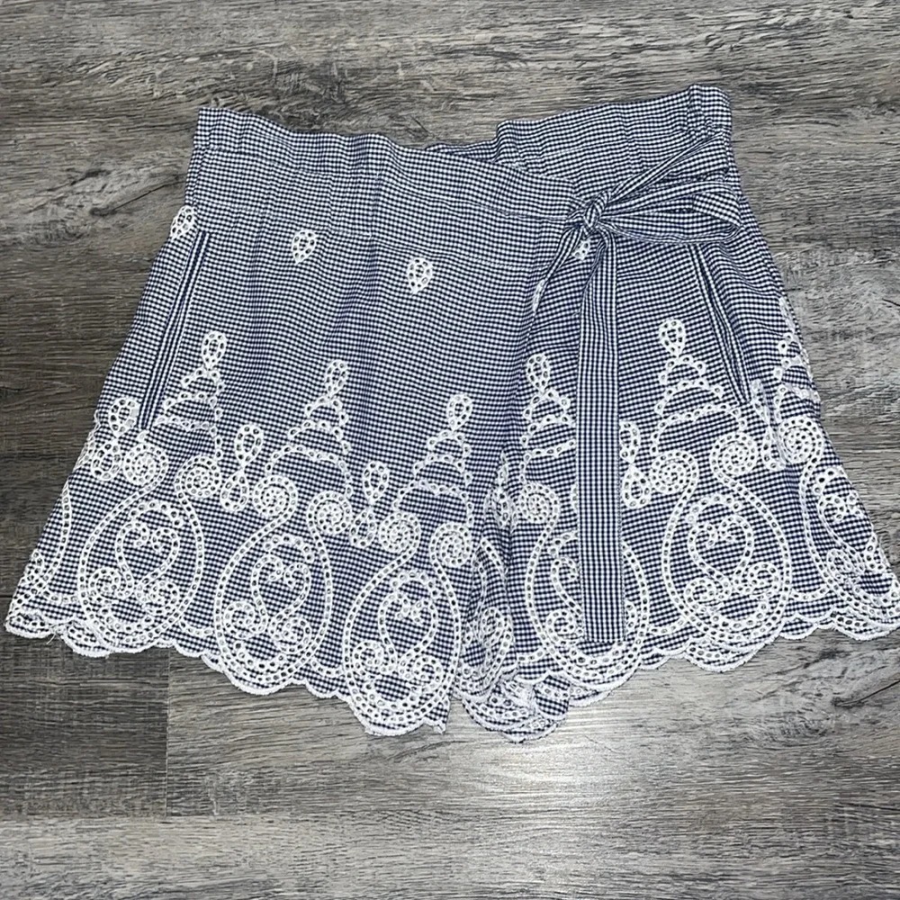 Zara Blue and White Gingham high waisted eyelet embroidered Shorts - small